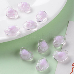 Transparent Acrylic Beads&nbsp;TACR-S152-08A-09