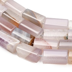 Natural Agate Beads Strands&nbsp;GG-L001-H01-02F