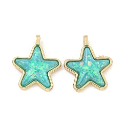 Translucent Resin Pendants&nbsp;KK-M291-24