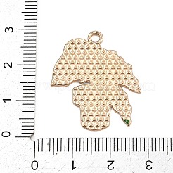 Alloy Enamel Pendants&nbsp;AL-CBA805A-01C