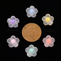 Transparent Acrylic Beads&nbsp;TACR-S152-06C