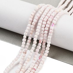 Natural Sea Shell Beads Strands&nbsp;G-H042-B33-01
