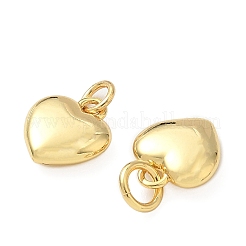 Brass Pendants&nbsp;KK-H076-21G