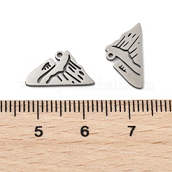 201 Stainless Steel Charms&nbsp;STAS-V001-11