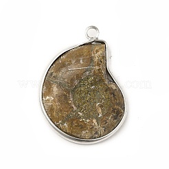 Natural Conch Fossil Pendants&nbsp;BSHE-E025-02P