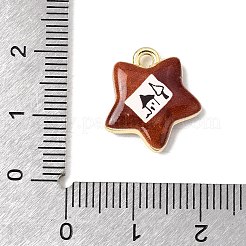 Printed Alloy Pendants&nbsp;ENAM-F160-05B-G