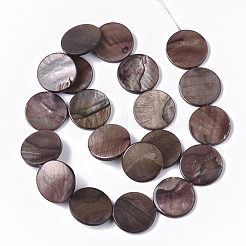 Freshwater Shell Beads Strands&nbsp;X-SHEL-T014-011A