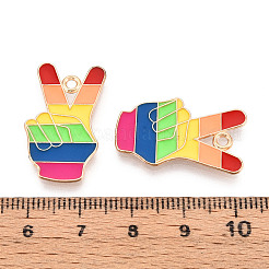 Rainbow Color Pride Alloy Enamel Pendants&nbsp;ENAM-K067-08