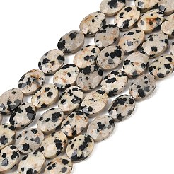 Natural Dalmatian Jasper Beads Strands&nbsp;G-H349-A01-02