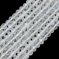 Natural Rainbow Moonstone Beads Strands&nbsp;G-G106-C05-02