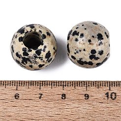 Natural Dalmatian Jasper Beads&nbsp;G-Q608-05G