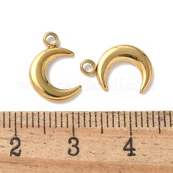 Ion Plating(IP) 304 Stainless Steel Pendants&nbsp;X-STAS-P312-20G