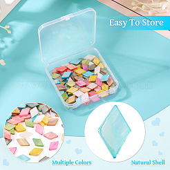 80Pcs 8 Colors Dyed Natural Freshwater Shell Beads&nbsp;SHEL-TA0001-26
