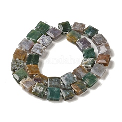 Natural Indian Agate Beads Strands&nbsp;G-L596-A15-01