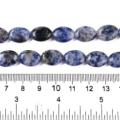 Natural Blue Spot Jasper Beads Strands&nbsp;G-M206-40