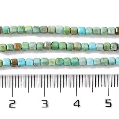 Natural Howlite Beads Strands&nbsp;G-G001-A02-05