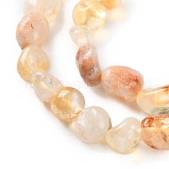 Natural Lodolite Quartz Beads Strands&nbsp;G-P497-01C-28