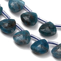 Natural Apatite Beads Strands&nbsp;G-C292-A06-01