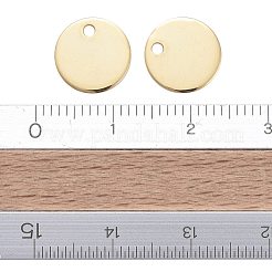 304 Stainless Steel Charms&nbsp;STAS-F174-06G