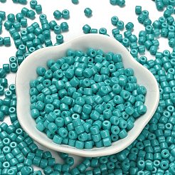 Baking Paint Pearlized Glass Seed Beads&nbsp;SEED-C001-04A-06