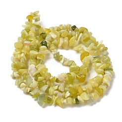 Natural Lemon Jade Chip Bead Strands&nbsp;X-G-M205-22