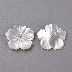 Natural White Shell Mother of Pearl Shell Beads&nbsp;SSHEL-R144-37