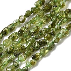 Natural Peridot Beads Strands&nbsp;G-P601-A01-01