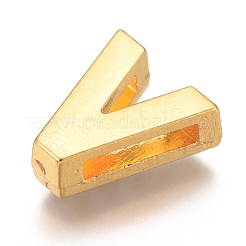 Alloy Slide Charms&nbsp;PALLOY-WH0070-30V