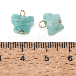 Natural Amazonite Pendants&nbsp;KK-D289-61G-04