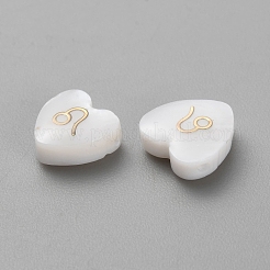 5Pcs Natural White Shell Beads&nbsp;BSHE-TAC0004-02G