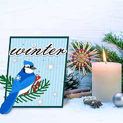 Christmas Theme Carbon Steel Cutting Dies Stencils&nbsp;DIY-WH0309-475