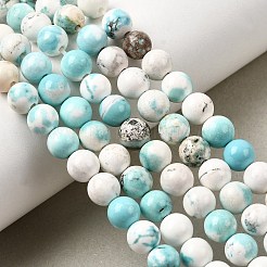 Natural Howlite Beads Strands&nbsp;G-L555-02-6mm