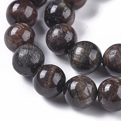 Natural Tiger Eye Beads Strands&nbsp;G-K301-10mm-01