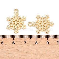 Alloy Pendants&nbsp;FIND-B059-05G-01