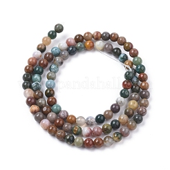 Natural Ocean Jasper Beads Strands&nbsp;G-F668-26-4mm