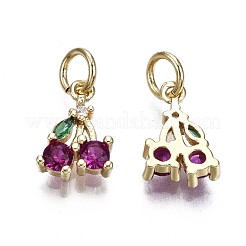 Brass Micro Pave Green & Purple Cubic Zirconia Charms&nbsp;ZIRC-S067-006-NR