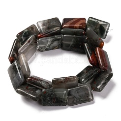 Natural African Bloodstone Beads Strands&nbsp;G-T047-B06-01