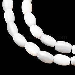 Natural Freshwater Shell Beads Strands&nbsp;SHEL-K006-06