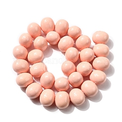 Shell Pearl Beads Strands&nbsp;BSHE-F013-01S