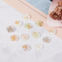 30Pcs 5 Colors Transparent Resin Cabochons&nbsp;RESI-CJ0001-186