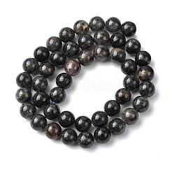 Natural Iolite Beads Strands&nbsp;G-K366-G02-01