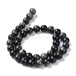 Natural Silver Obsidian Beads Strands&nbsp;G-D083-01C