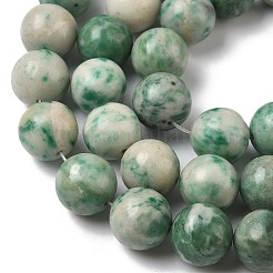 Natural Green Spot Jasper Beads Strands&nbsp;G-F818-A05-14mm