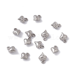 Non-Tarnish 304 Stainless Steel Charms&nbsp;STAS-G291-15P