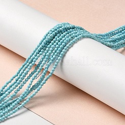 Natural Howlite Beads Strands&nbsp;G-C025-03A-01