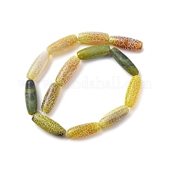 Natural Weathered Agate Beads Strands&nbsp;G-P570-C04-01