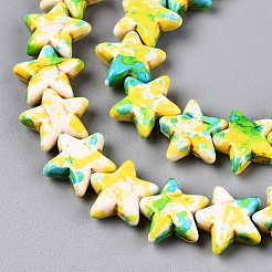 Spray Painted Synthetic Turquoise Beads Strands&nbsp;LS-UNKW-T001-11C