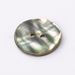 Abalone Shell/Paua Shell&nbsp;X-BSHE-I011-04A