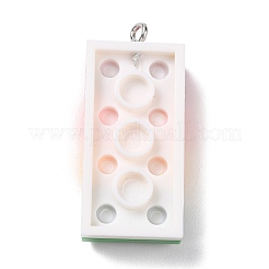 Resin Pendants&nbsp;RESI-E017-D02