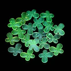 Transparent Acrylic Beads&nbsp;OACR-Z013-14